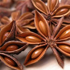 Aniseed Flavour Concentrate Aniseed Flavour Concentrate