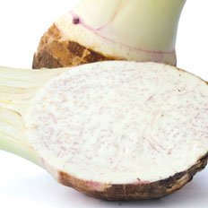 cocoyam