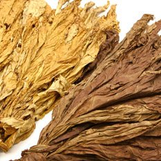 Amber Blend Flavour Concentrate 1
