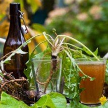 Dandelion & Burdock Flavour Concentrate