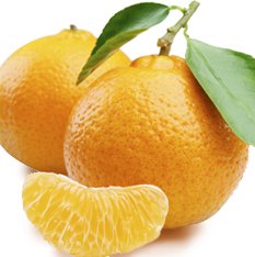 Orangella Concentrate 1