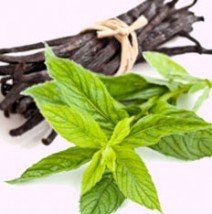 Vanilla Ice Flavour Concentrate