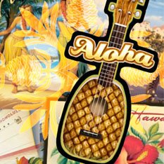 Waikiki-Hula-concentrate