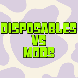 <strong>Disposables Vs Mods</strong>